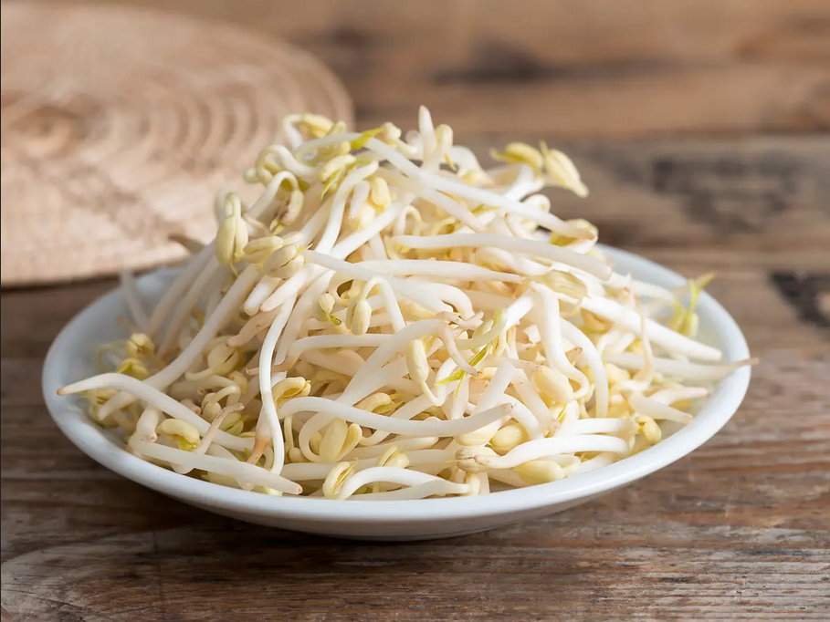 Menanam Kecambah Sendiri, Stock Tauge Renyah dan Segar