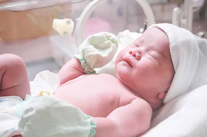 Kapan Bayi Prematur Membutuhkan Susu Formula Khusus